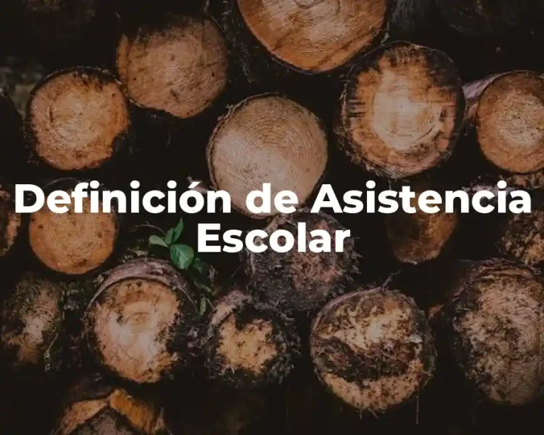 Definición de Asistencia Escolar