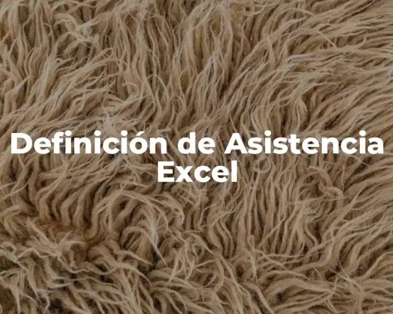 Definición de Asistencia Excel