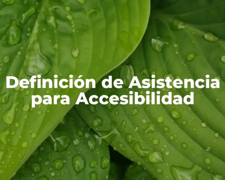 Definición de Asistencia para Accesibilidad