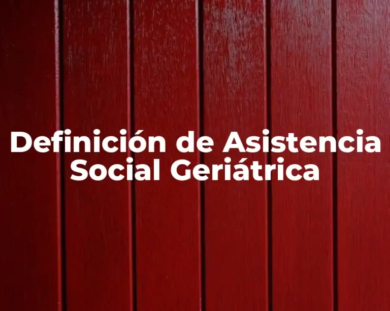 Definición de Asistencia Social Geriátrica