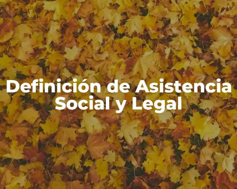 Definición de Asistencia Social y Legal