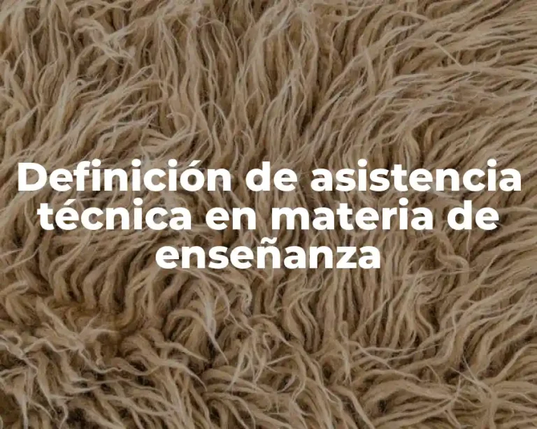 Definición de asistencia técnica en materia de enseñanza