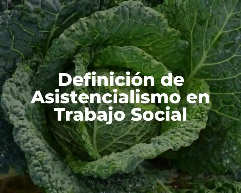 Definición de Asistencialismo en Trabajo Social