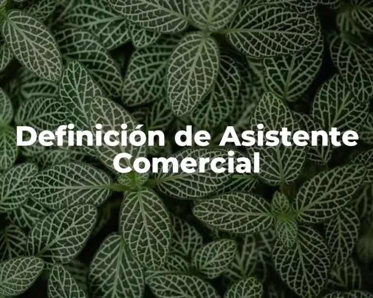 Definición de Asistente Comercial