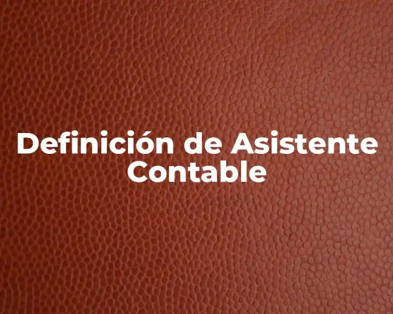 Definición de Asistente Contable