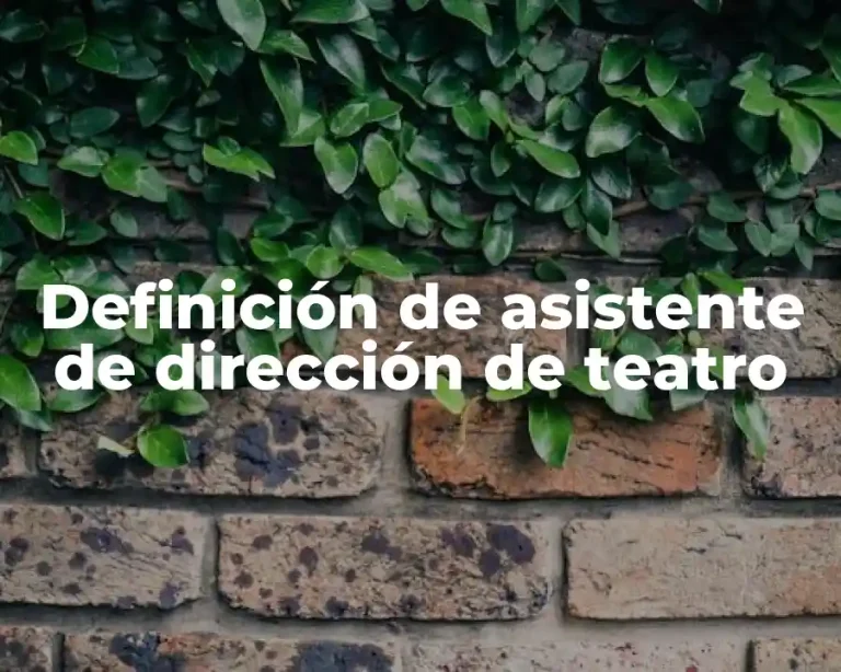 Definición de asistente de dirección de teatro