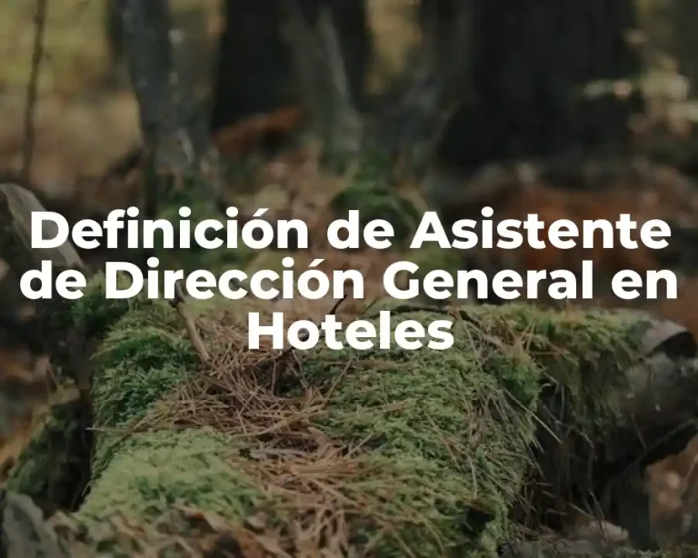 Definición de Asistente de Dirección General en Hoteles
