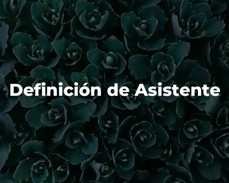 Definición de Asistente