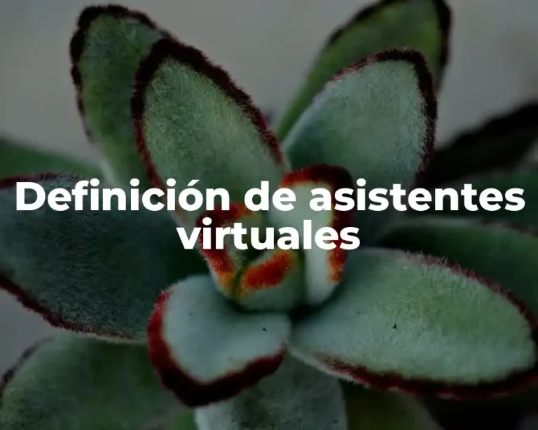Definición de asistentes virtuales