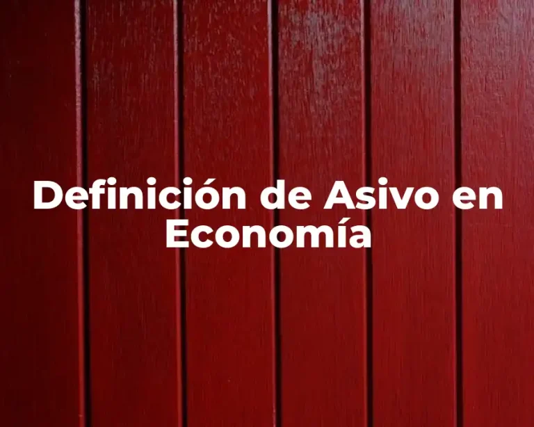 Definición de Asivo en Economía