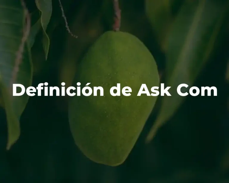Definición de Ask Com