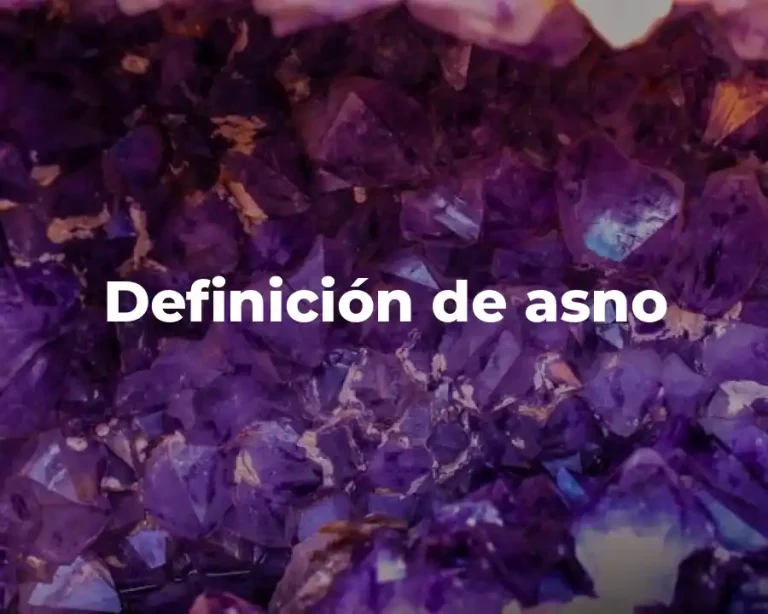 Definición de asno