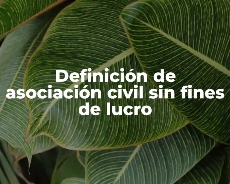 Definición de asociación civil sin fines de lucro