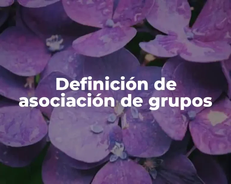 Definición de asociación de grupos