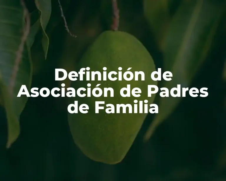 Definición de Asociación de Padres de Familia
