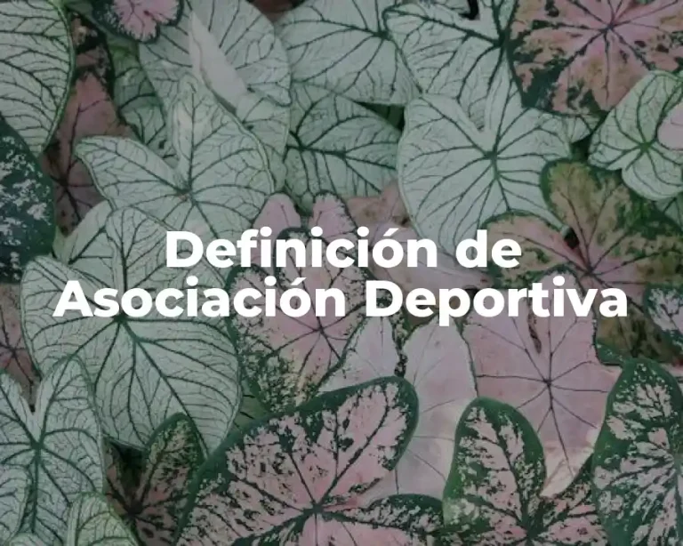 Definición de Asociación Deportiva