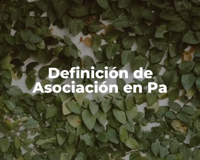 Definición de Asociación en Pa
