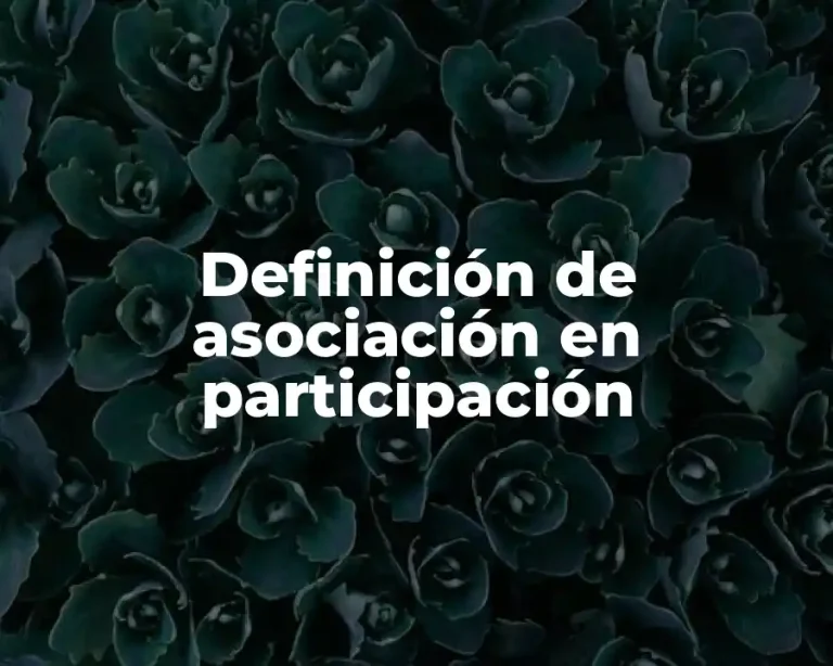 Definición de asociación en participación