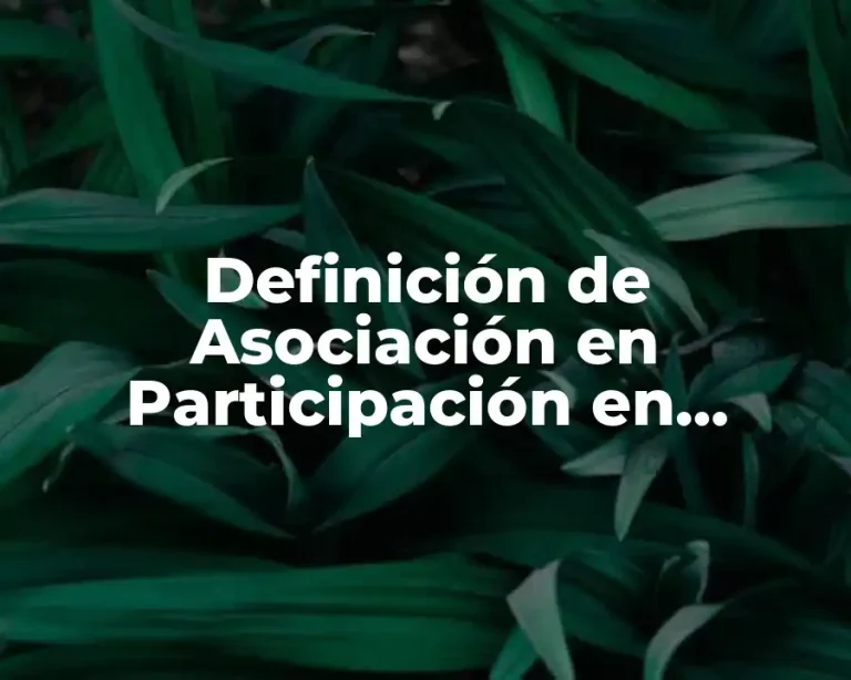 Definición de Asociación en Participación en Contabilidad