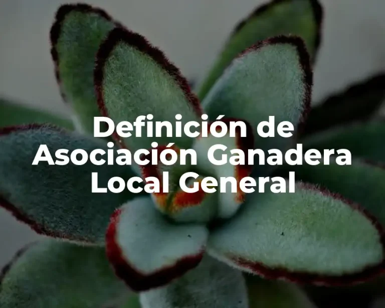 Definición de Asociación Ganadera Local General