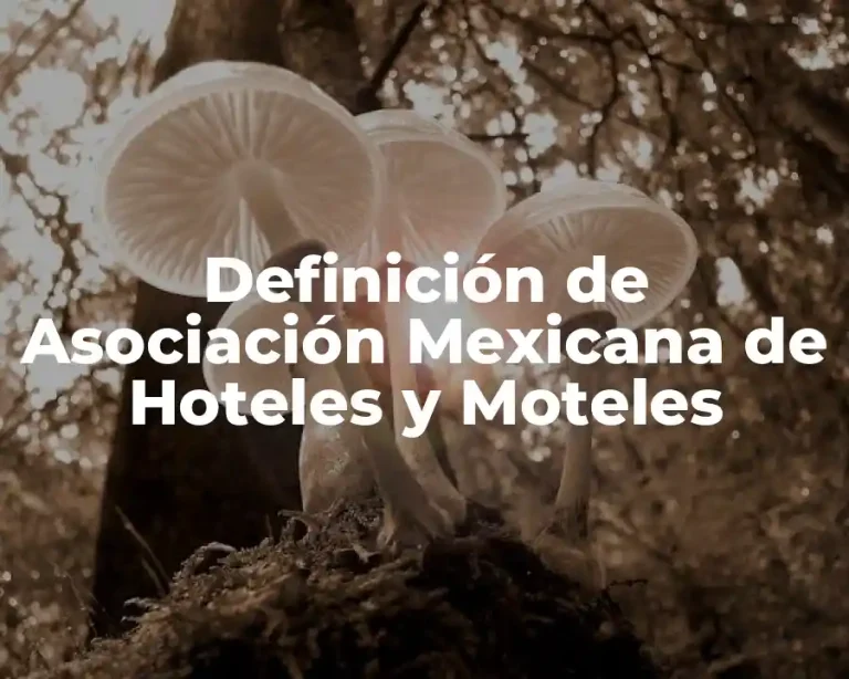 Definición de Asociación Mexicana de Hoteles y Moteles