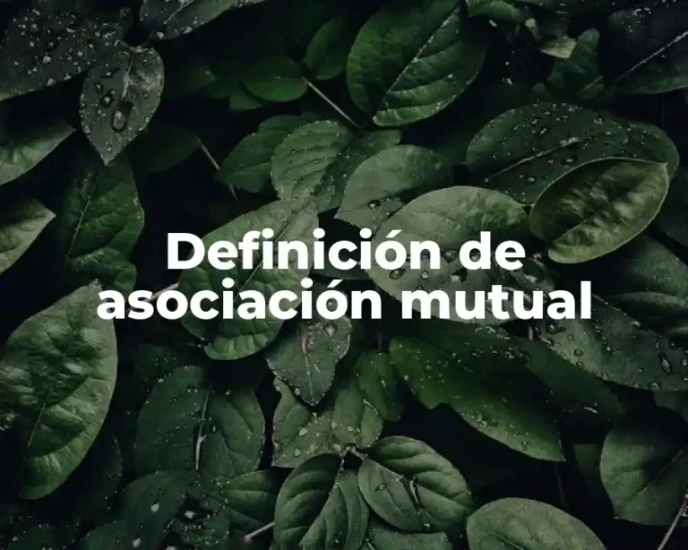 Definición de asociación mutual