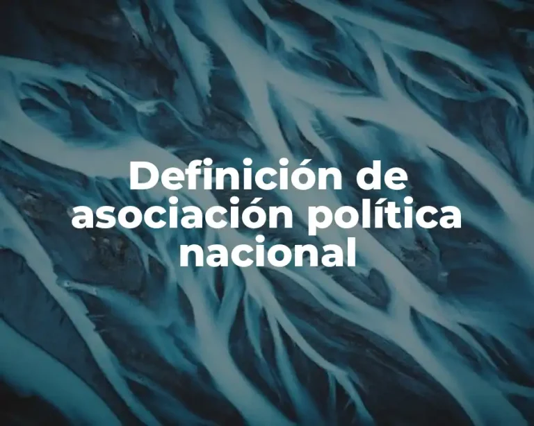 Definición de asociación política nacional