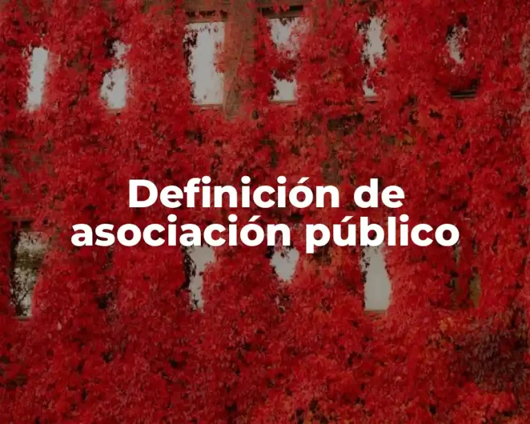 Definición de asociación público
