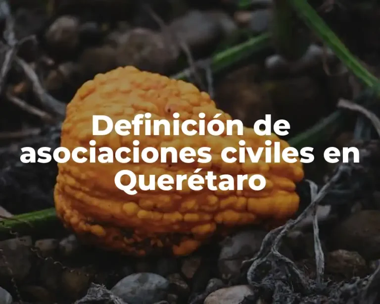 Definición de asociaciones civiles en Querétaro
