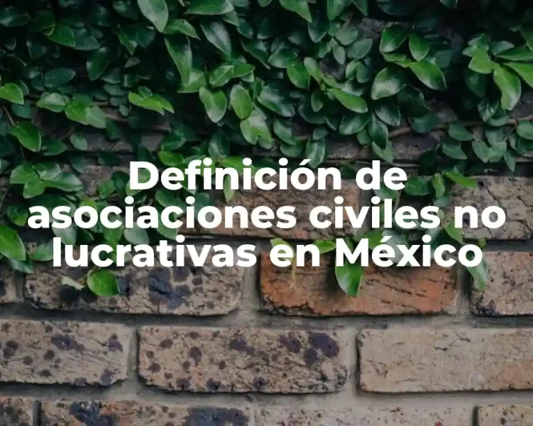 Definición de asociaciones civiles no lucrativas en México