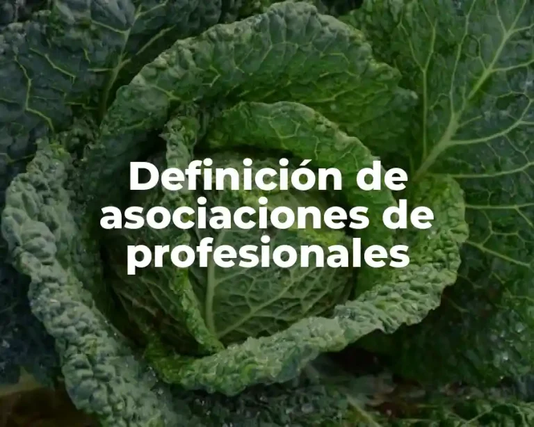 Definición de asociaciones de profesionales