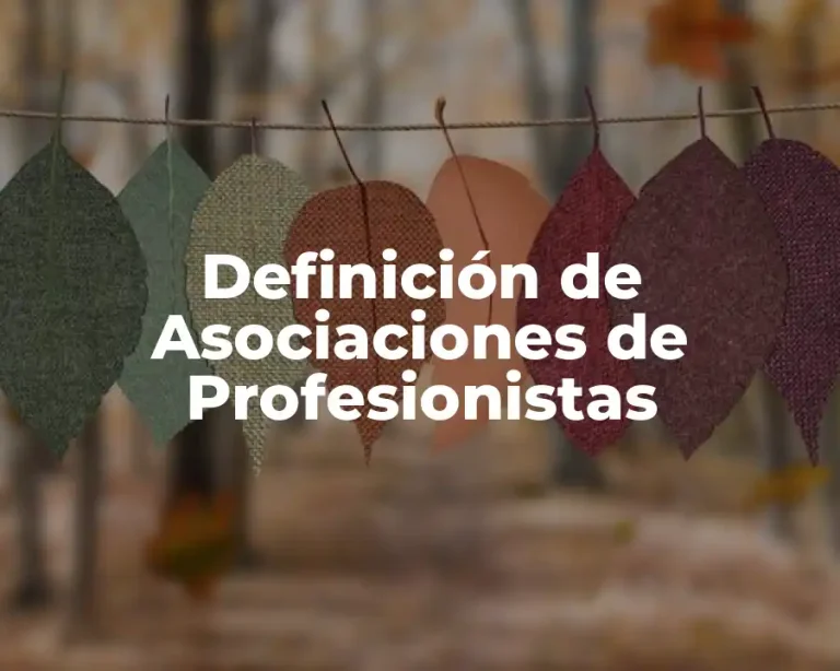 Definición de Asociaciones de Profesionistas