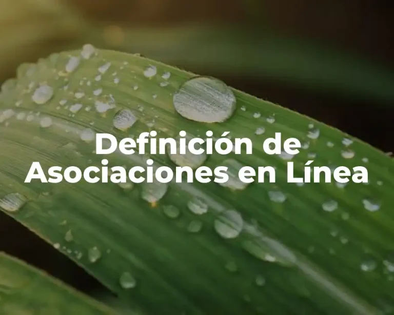 Definición de Asociaciones en Línea