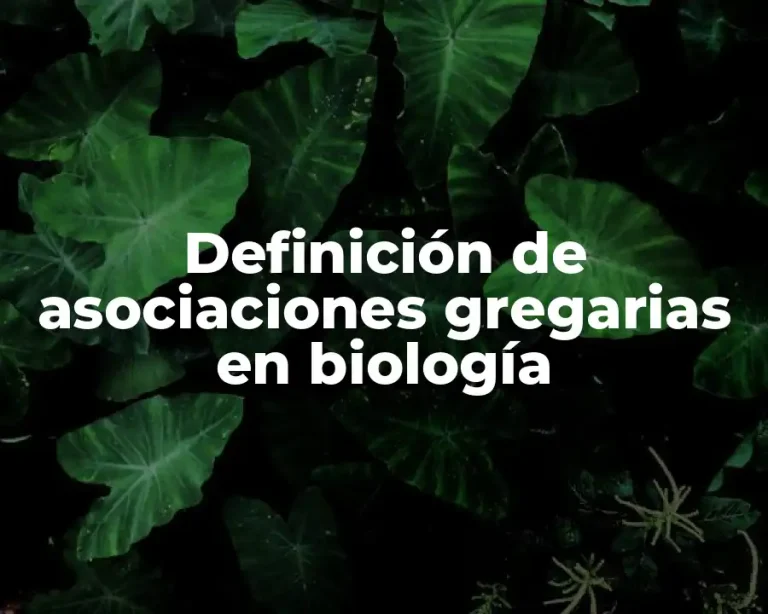 Definición de asociaciones gregarias en biología