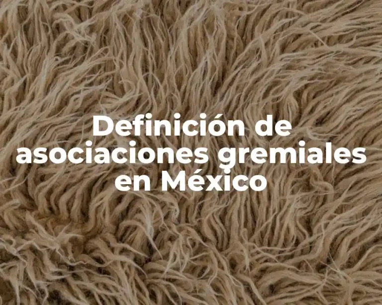 Definición de asociaciones gremiales en México