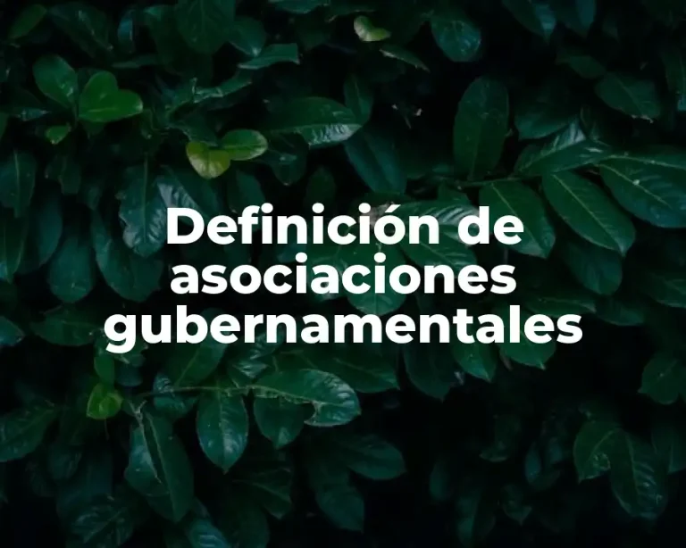 Definición de asociaciones gubernamentales