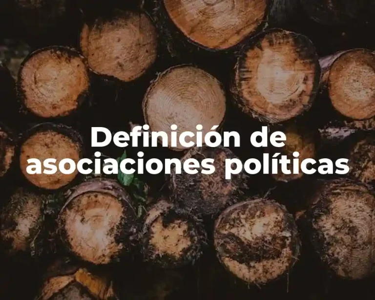 Definición de asociaciones políticas