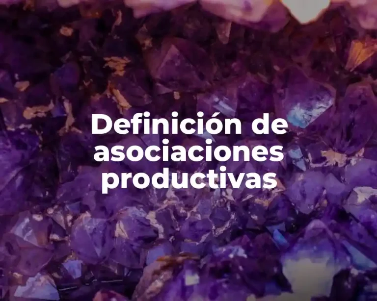 Definición de asociaciones productivas