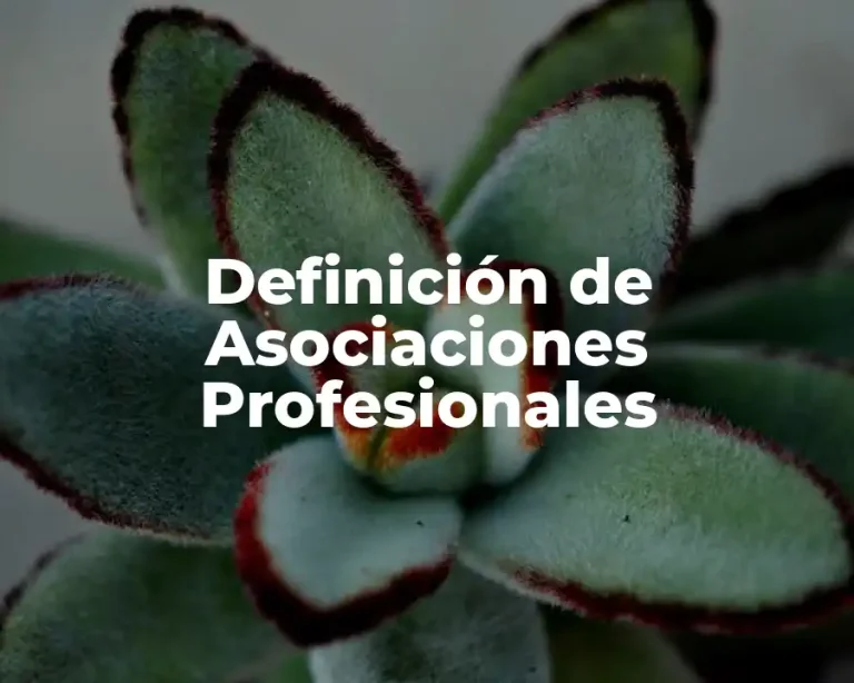 Definición de Asociaciones Profesionales