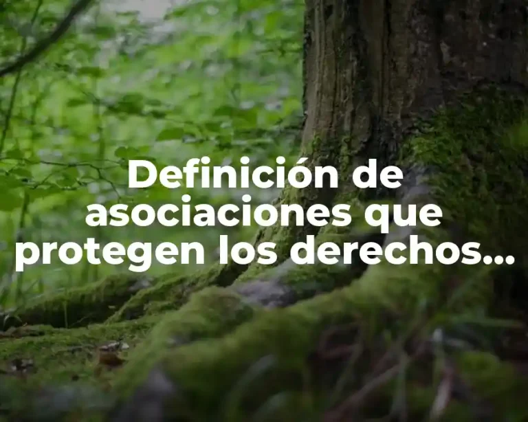 Definición de asociaciones que protegen los derechos humanos