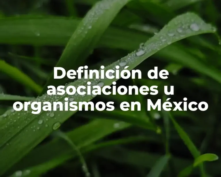 Definición de asociaciones u organismos en México