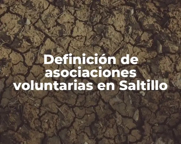 Definición de asociaciones voluntarias en Saltillo
