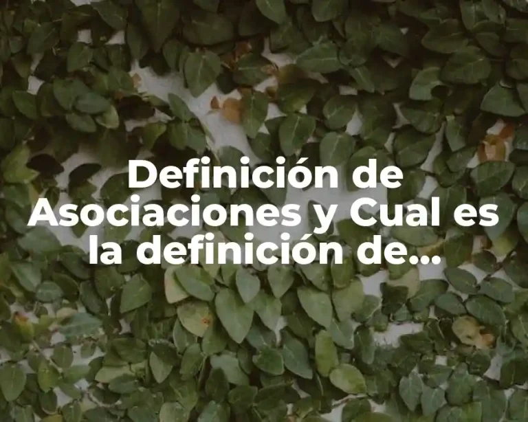 Definición de Asociaciones y Cual es la definición de Asociaciones