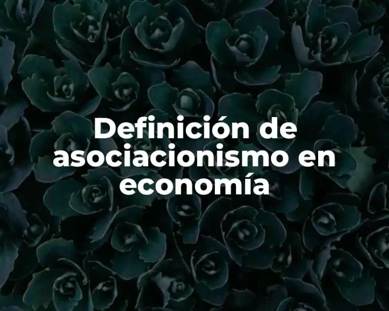 Definición de asociacionismo en economía
