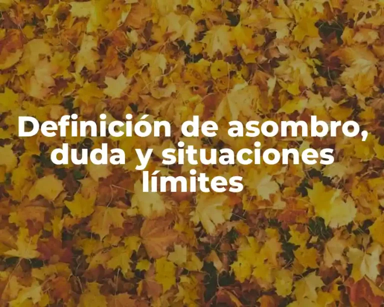 Definición de asombro, duda y situaciones límites