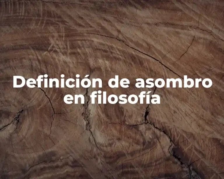 Definición de asombro en filosofía