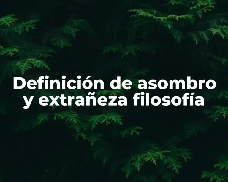 Definición de asombro y extrañeza filosofía