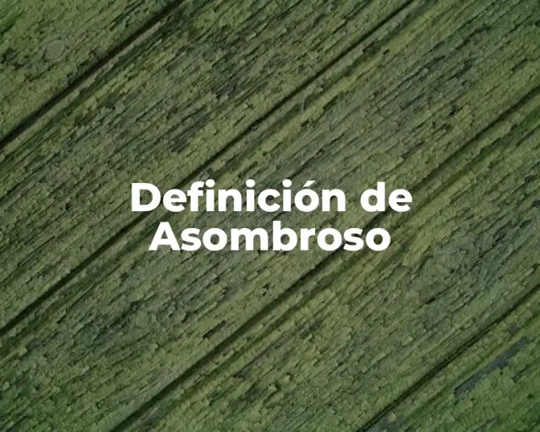 Definición de Asombroso