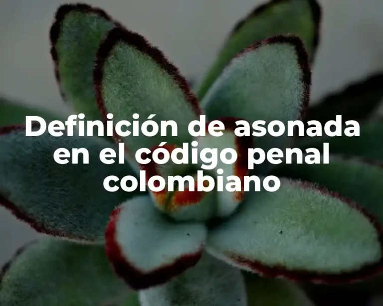 Definición de asonada en el código penal colombiano