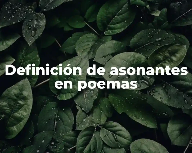 Definición de asonantes en poemas